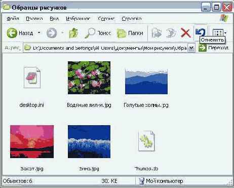 Папка Мои рисунки (My Pictures)